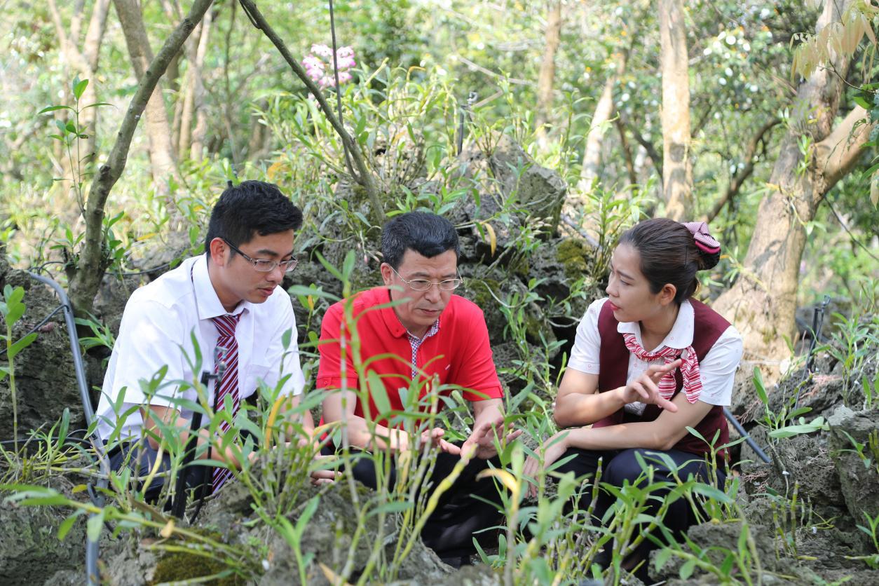 堅(jiān)守“農(nóng)小土”展現(xiàn)“穩(wěn)高實(shí)”省農(nóng)信社2018年支農(nóng)支小扶貧發(fā)展紀(jì)實(shí)