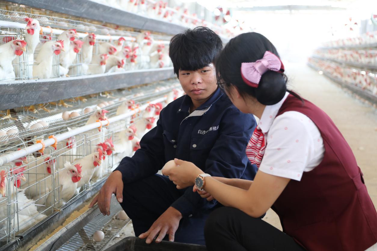 堅(jiān)守“農(nóng)小土”展現(xiàn)“穩(wěn)高實(shí)”省農(nóng)信社2018年支農(nóng)支小扶貧發(fā)展紀(jì)實(shí)