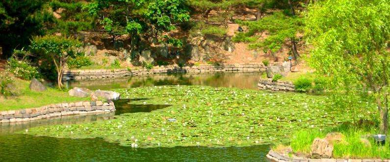 塔洋鎮(zhèn)裕山村變形記——記海南省農(nóng)信社金融助力鄉(xiāng)村振興