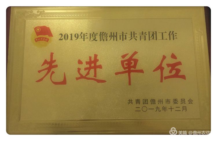 喜報！儋州農(nóng)信社團委榮獲2019年度儋州市共青團“先進單位”稱號