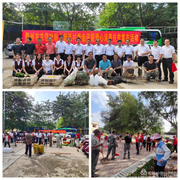 喜報！儋州農(nóng)信社團委榮獲2019年度儋州市共青團“先進單位”稱號