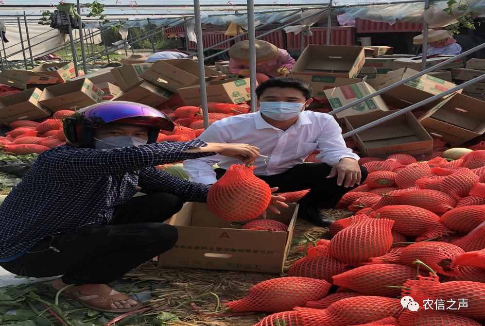 最美“金融鐵軍”：抗擊疫情，助農(nóng)生產(chǎn)，小額信貸技術(shù)員在行動(dòng)