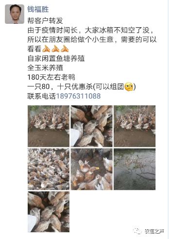 最美“金融鐵軍”：抗擊疫情，助農(nóng)生產(chǎn)，小額信貸技術(shù)員在行動(dòng)