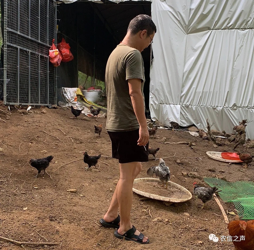 【最美農(nóng)信人】把村民放在“心尖”上的駐村工作隊隊員—白華