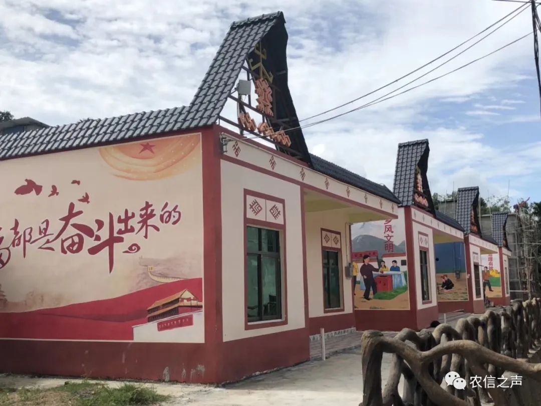 【最美農(nóng)信人】把村民放在“心尖”上的駐村工作隊隊員—白華