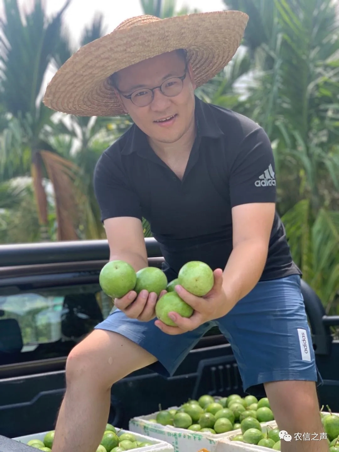 【最美農(nóng)信人】 農(nóng)戶“貼心人”，脫貧“帶頭人” ——海南農(nóng)信鄉(xiāng)村振興工作隊隊員萬家順