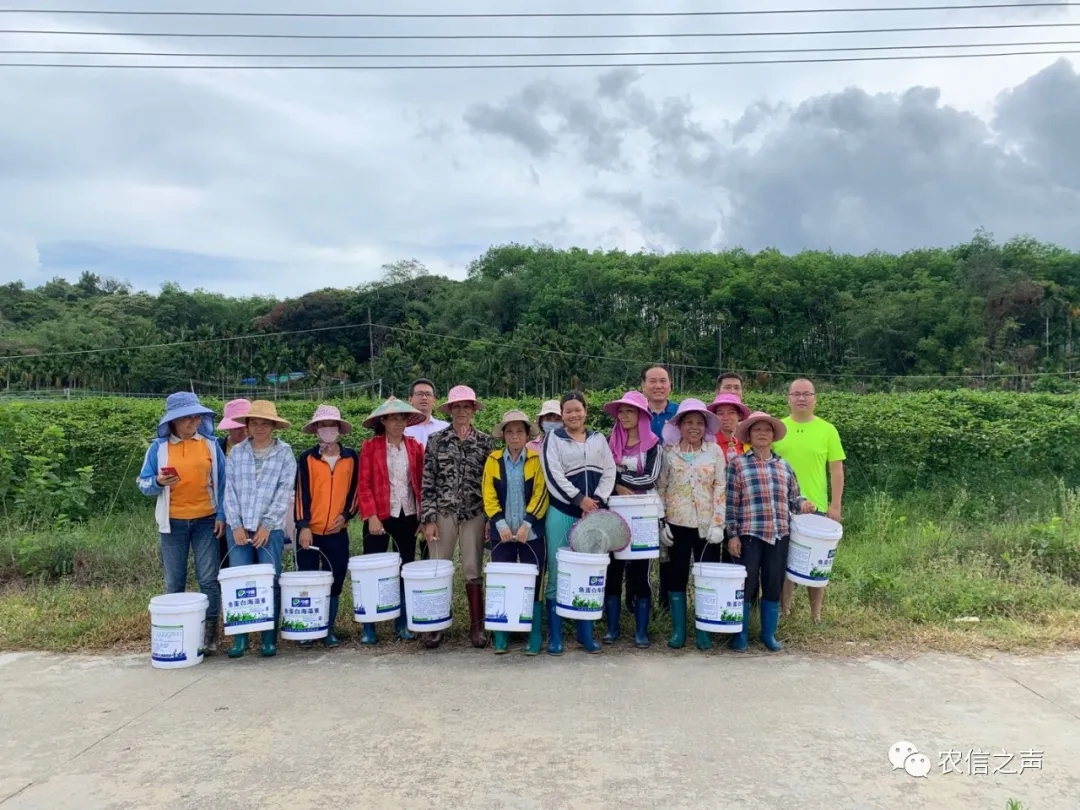 【最美農(nóng)信人】 農(nóng)戶“貼心人”，脫貧“帶頭人” ——海南農(nóng)信鄉(xiāng)村振興工作隊隊員萬家順