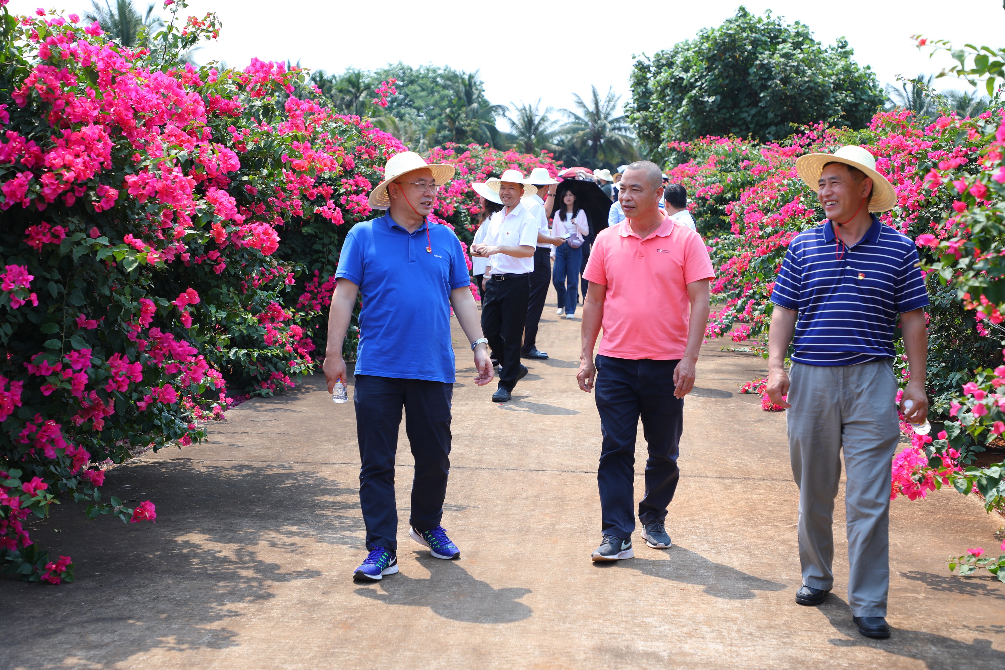 ?？谵r(nóng)商銀行聯(lián)合海南銀保監(jiān)局前往云龍鎮(zhèn)開(kāi)展黨建共建活動(dòng)  聚焦鄉(xiāng)村振興工作實(shí)事  共同推動(dòng)黨史學(xué)習(xí)教育走深走實(shí)