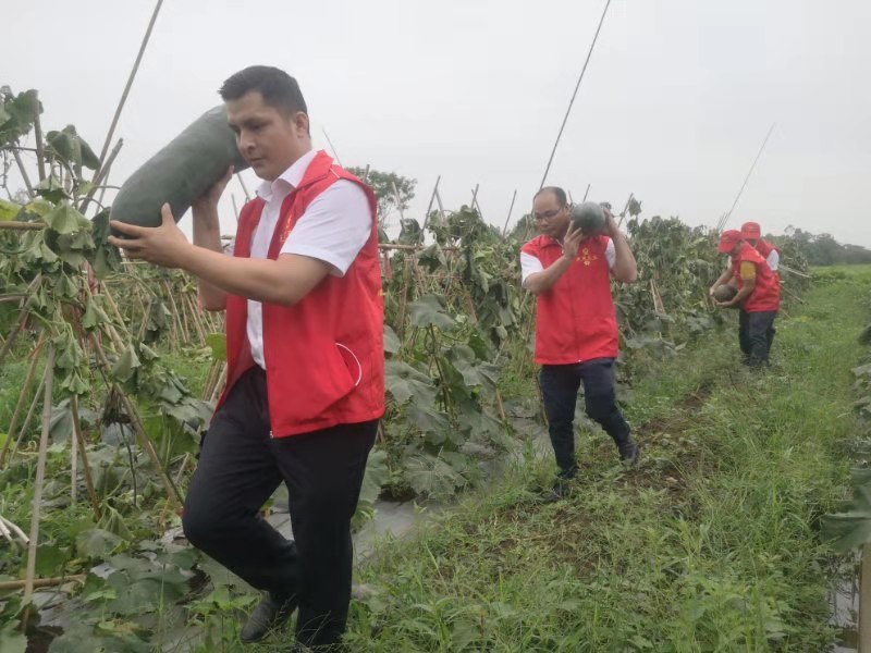 臨高農(nóng)商銀行團(tuán)總支深入頭文村開展“我為群眾辦實(shí)事”志愿服務(wù)活動(dòng)