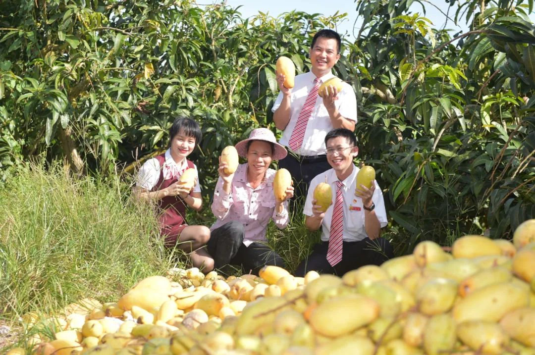 如何為小微企業(yè)紓困解難?海南農(nóng)信開出“金融良方” 如何為小微企業(yè)紓困解難?海南農(nóng)信開出“金融良方”