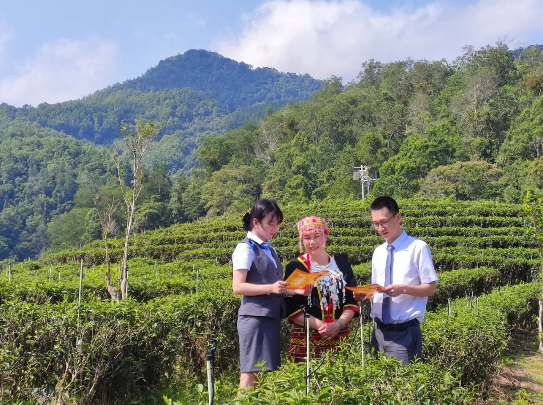 海南農(nóng)信 “一提一降一聚焦” 護(hù)航實(shí)體經(jīng)濟(jì)