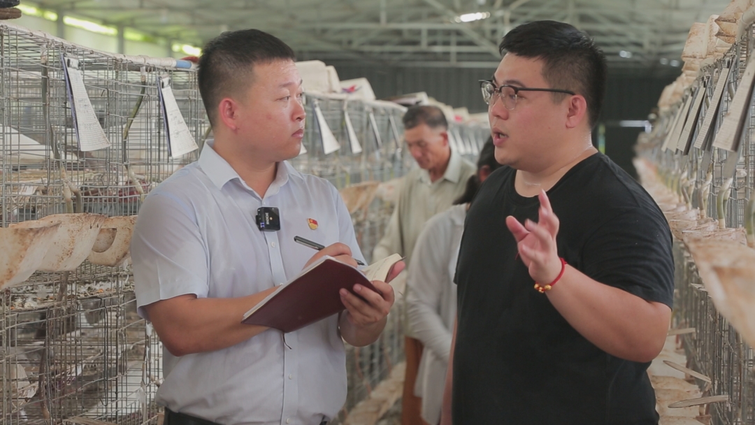 《鄉(xiāng)村振興電視夜校》 海南農(nóng)信農(nóng)村金融助力鄉(xiāng)村振興!