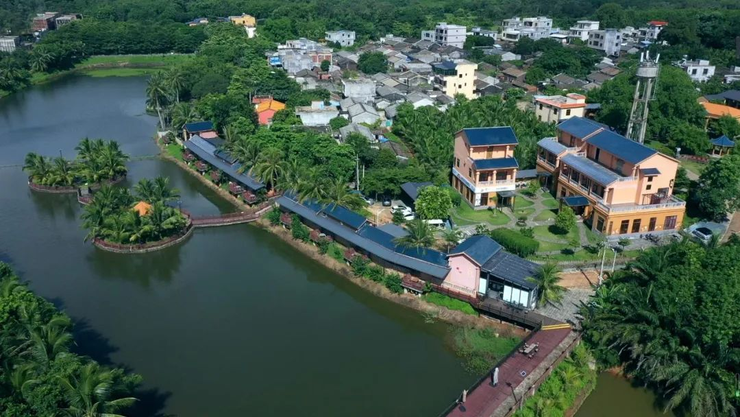 《鄉(xiāng)村振興電視夜?！?海南農(nóng)信農(nóng)村金融助力鄉(xiāng)村振興!