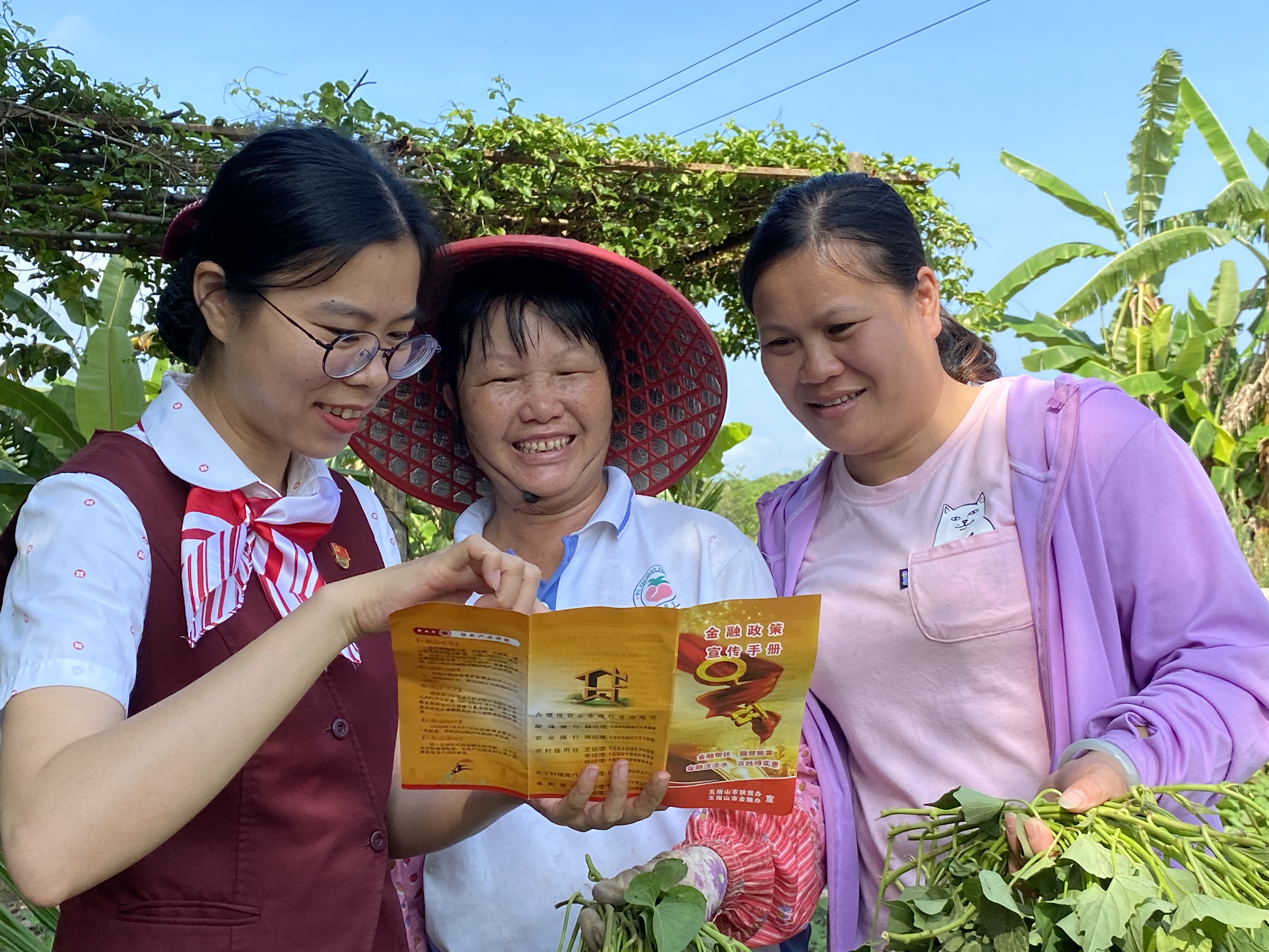 【最美農(nóng)信人】王 雅：扎根山區(qū) 心中向陽(yáng)照亮腳下信貸之路