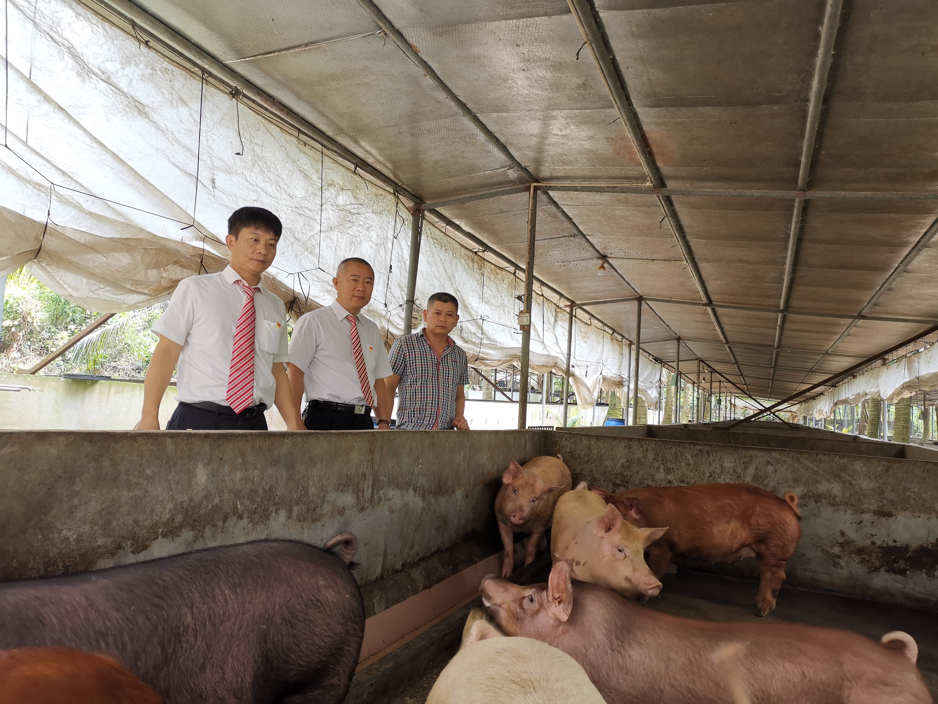 【最美農(nóng)信人】潘家政：工作中的黃金配角 我們心中的男主角