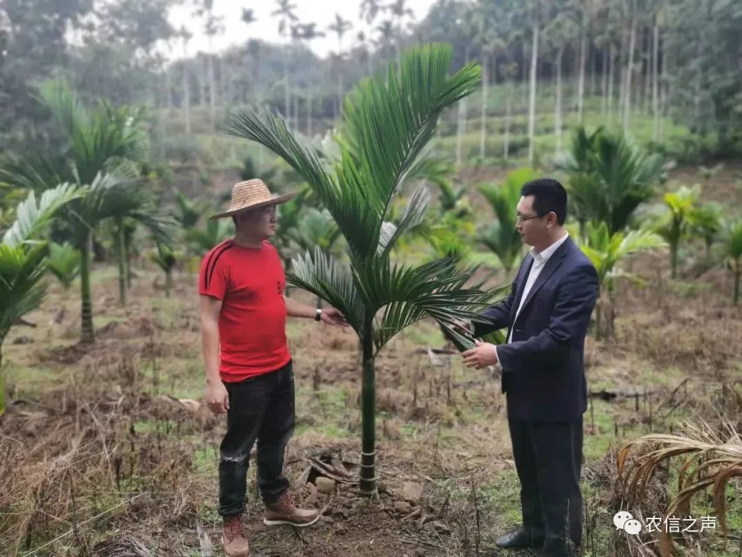 鐘騰：真情奉獻十余載 以奮斗書寫青春無悔