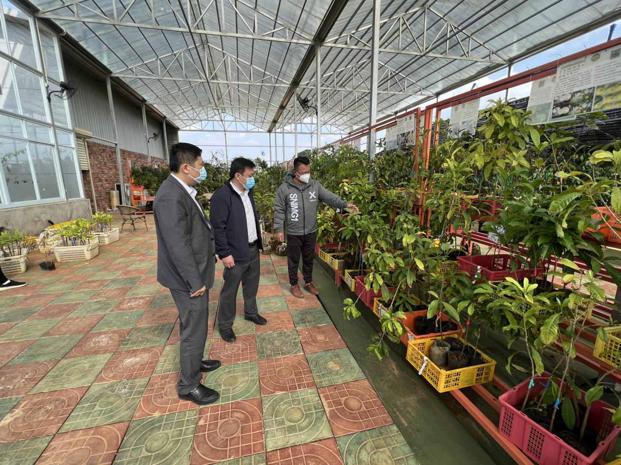 瓊海聯(lián)社第二個(gè)央行支農(nóng)再貸款示范基地落地 瓊海聯(lián)社第二個(gè)央行支農(nóng)再貸款示范基地落地