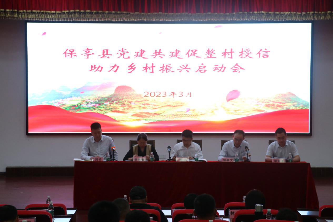 黨建促發(fā)展 金融助振興 保亭聯(lián)社“黨建共建促整村授信助力鄉(xiāng)村振興”正式啟動(dòng)