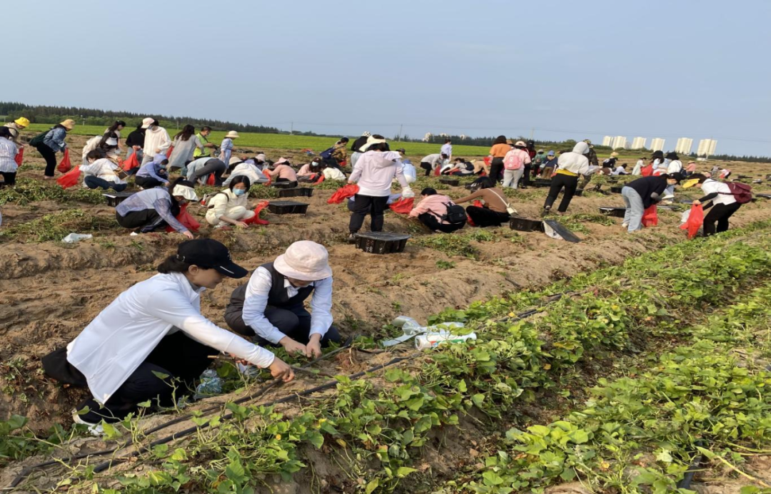 省聯(lián)社工會(huì)組織開展“三八”國際勞動(dòng)?jì)D女節(jié)活動(dòng)
