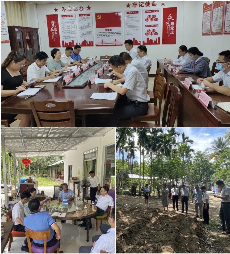 人民銀行保亭縣支行深入保亭聯(lián)社開展調研 人民銀行保亭縣支行深入保亭聯(lián)社開展調研