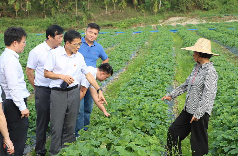 海南農(nóng)信召開定點(diǎn)幫扶“四比四促”推進(jìn)會