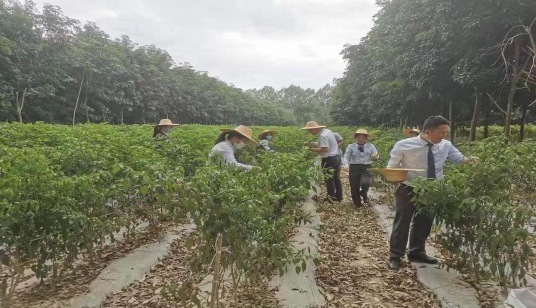 李育雅：做平凡的“擺渡人”