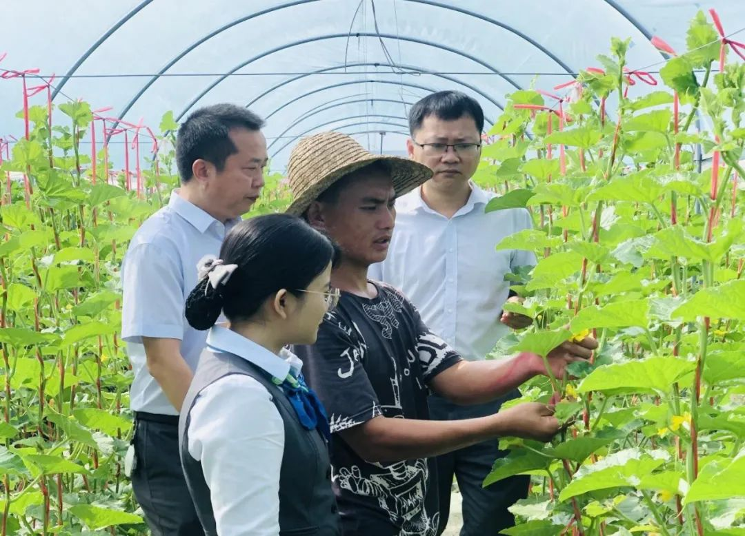 何長(zhǎng)智:緊盯“三個(gè)聚焦” 扎根基層耕好“責(zé)任田” 何長(zhǎng)智:緊盯“三個(gè)聚焦” 扎根基層耕好“責(zé)任田”