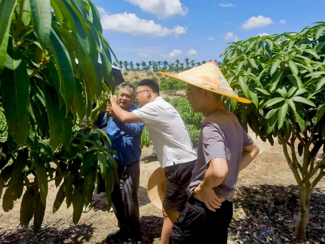 呂賀菲：什么是敢闖善拼？