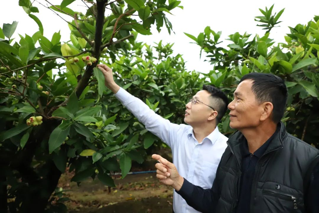 5大方面20條舉措！海南農(nóng)信支持民營經(jīng)濟出實招