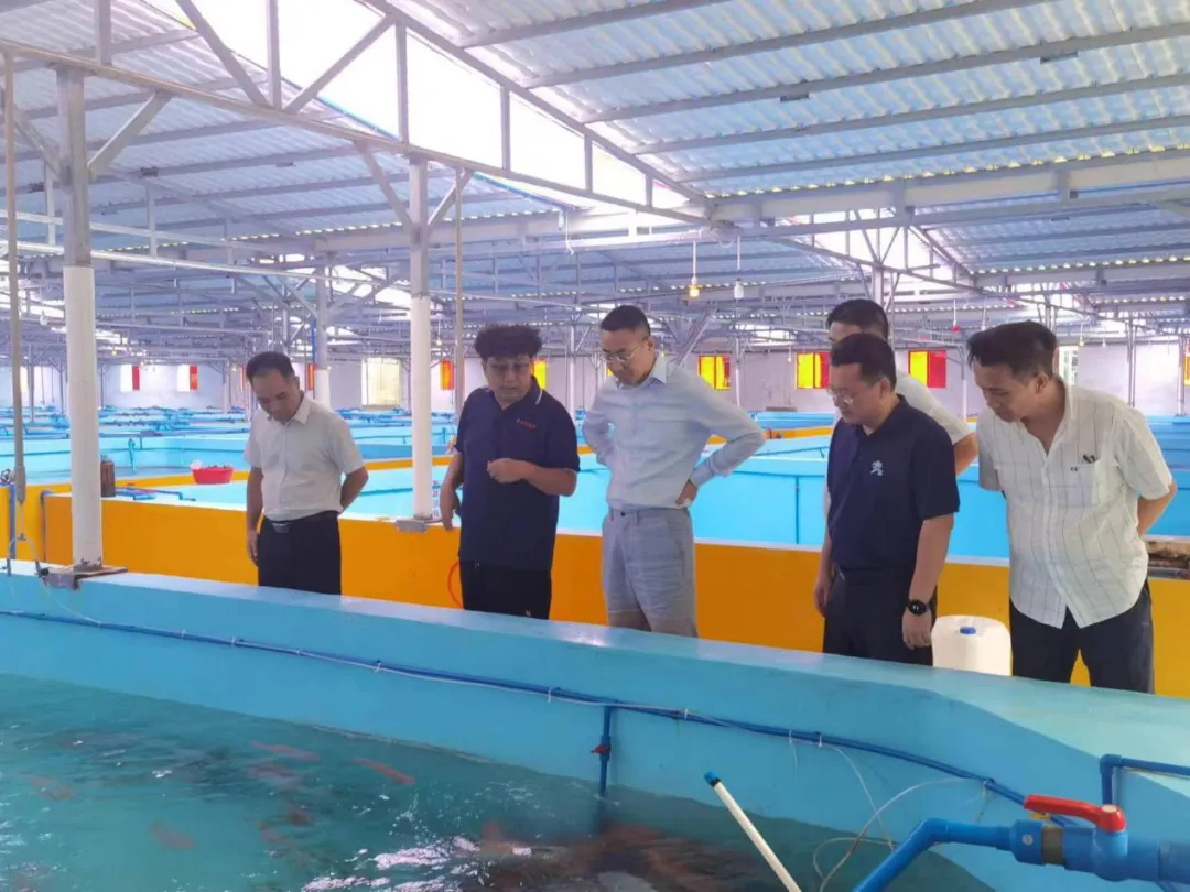 陳維到海南農(nóng)商銀行萬(wàn)寧支行調(diào)研 參加“政銀企”座談會(huì)并深入客戶一線走訪