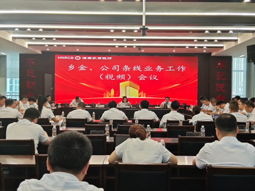 海南農商銀行召開鄉(xiāng)村振興、公司金融條線業(yè)務工作（視頻）會議