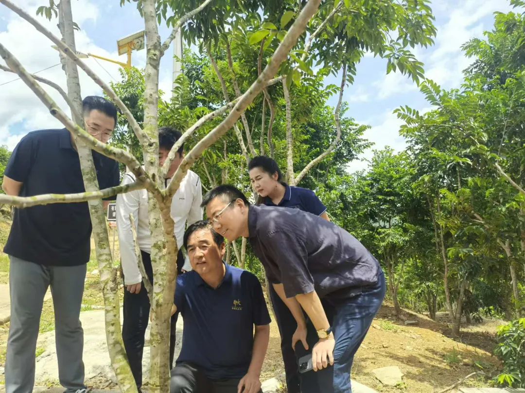 陳維到海南農(nóng)商銀行儋州支行調(diào)研并深入客戶一線走訪 陳維到海南農(nóng)商銀行儋州支行調(diào)研并深入客戶一線走訪