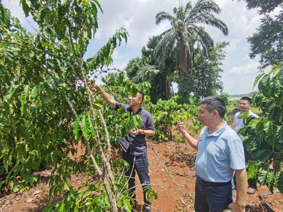 陳維到海南農(nóng)商銀行澄邁支行調(diào)研，檢查臺(tái)風(fēng)“摩羯”防御準(zhǔn)備工作情況并深入客戶(hù)一線(xiàn)走訪(fǎng)