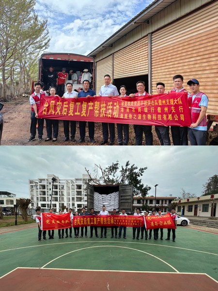 銀企聯(lián)動，助力災后重建|儋州支行開展臺風災后復工復產(chǎn)幫扶活動