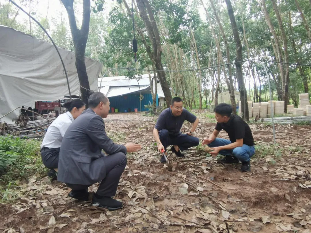 陳維深入海南農(nóng)商銀行白沙、昌江、東方支行農(nóng)區(qū)山區(qū)網(wǎng)點(diǎn)調(diào)研并走訪(fǎng)客戶(hù)