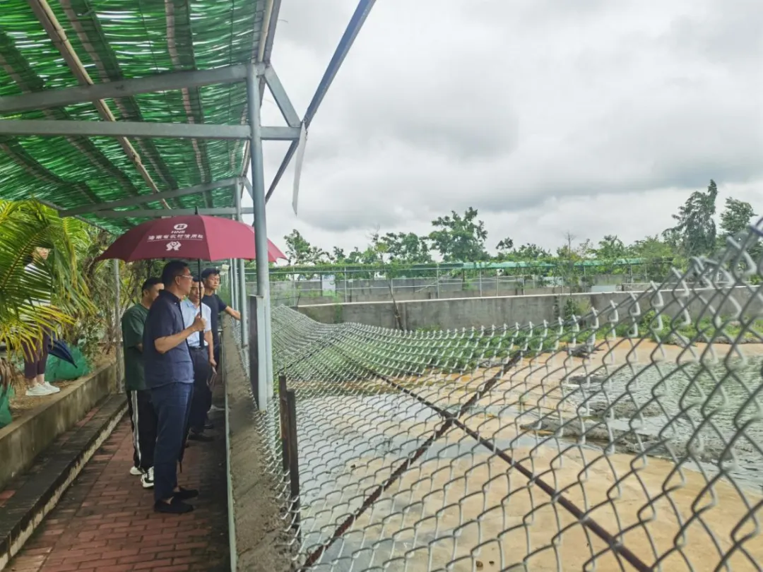 陳維深入海南農(nóng)商銀行白沙、昌江、東方支行農(nóng)區(qū)山區(qū)網(wǎng)點(diǎn)調(diào)研并走訪(fǎng)客戶(hù)