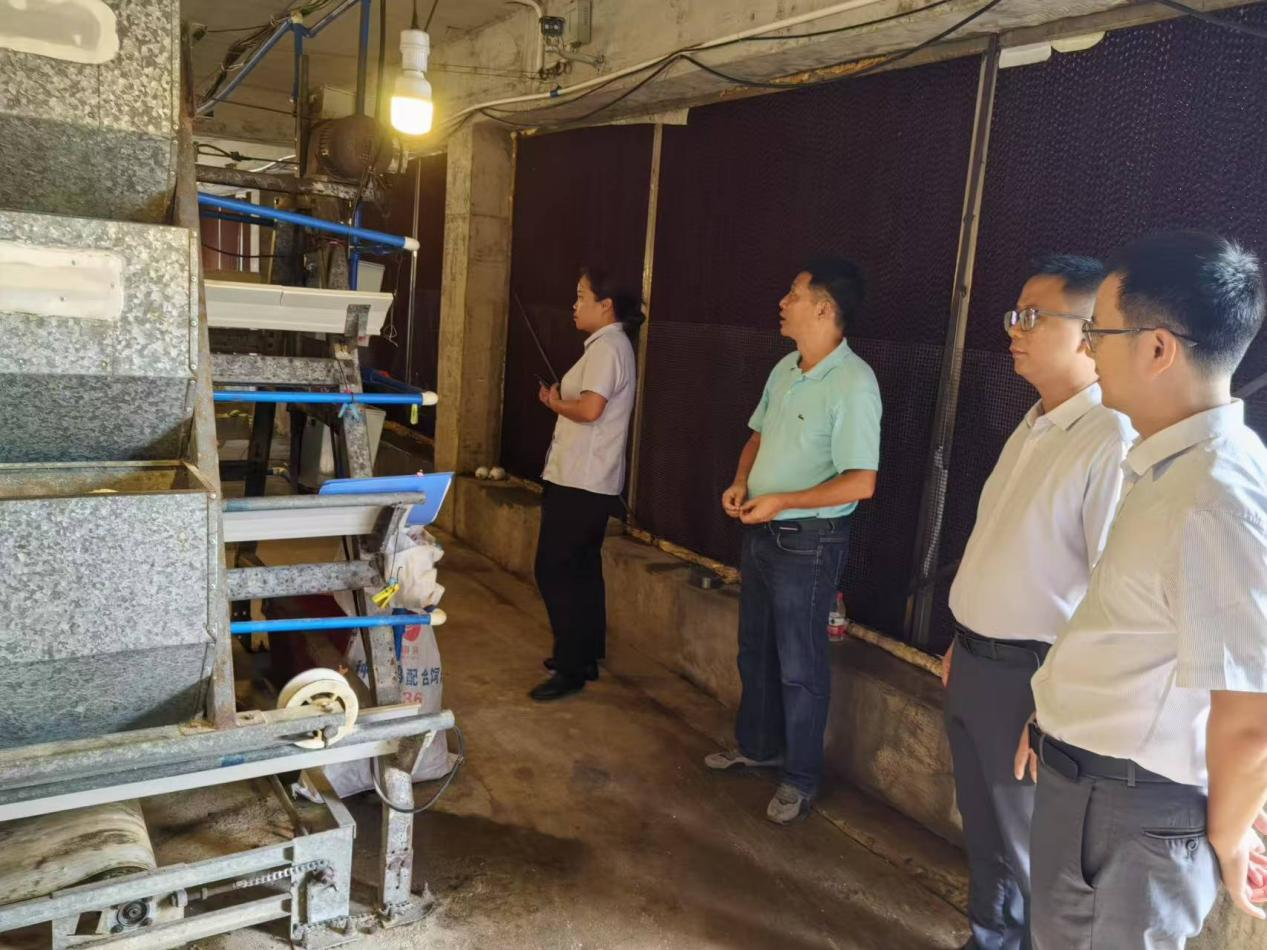 海南農(nóng)商銀行：念好“快、簡(jiǎn)、新、減”四字訣  助力小微企業(yè)高質(zhì)量發(fā)展