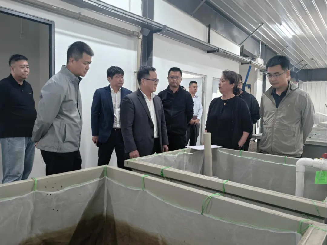 李曉剛到儋州洋浦企業(yè)調(diào)研