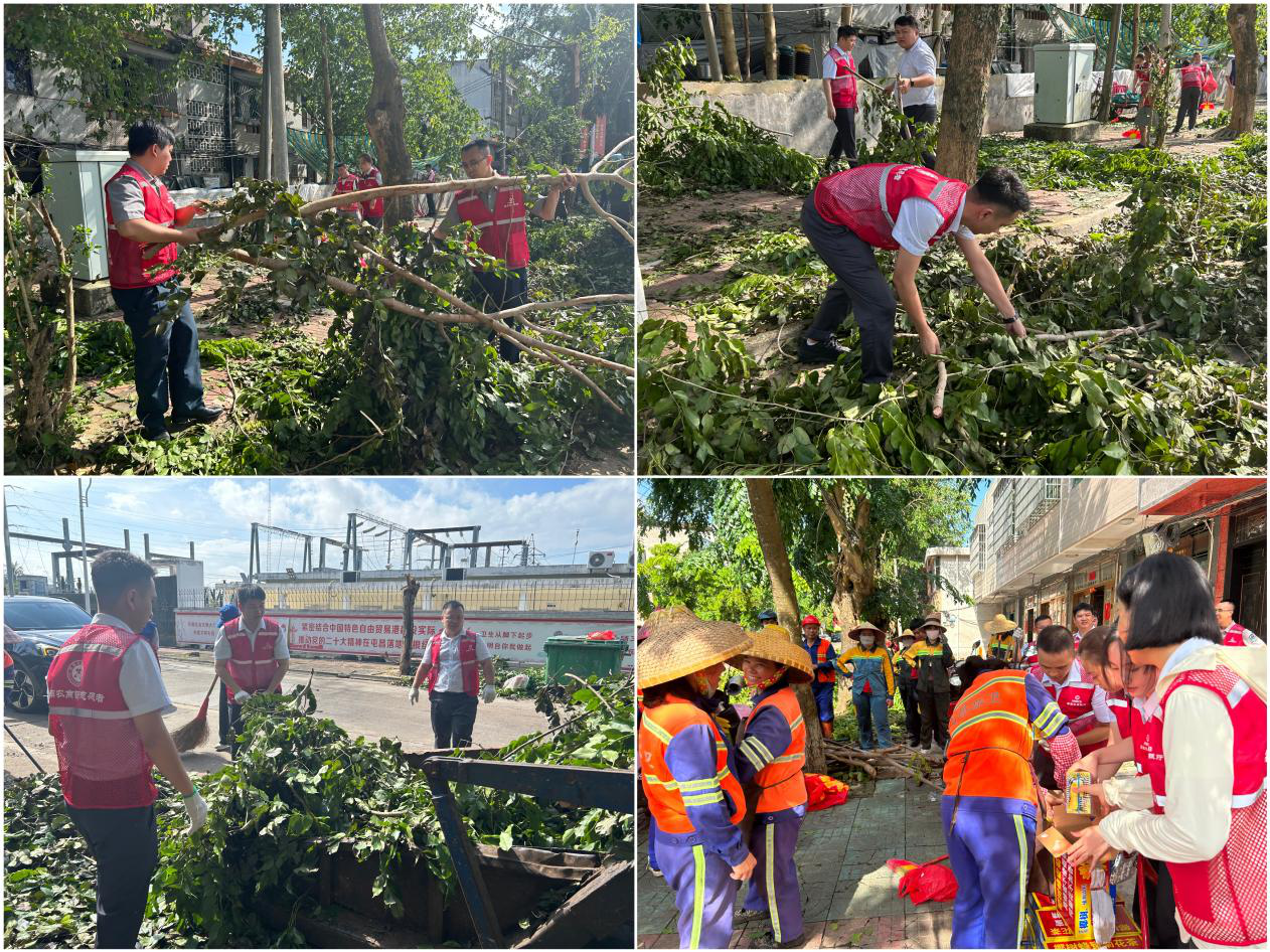 共護(hù)家園 海南農(nóng)商銀行屯昌支行志愿者奔赴災(zāi)后恢復(fù)重建一線
