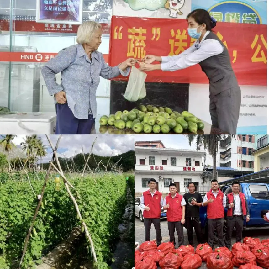 瓊中支行“金融助理”：執(zhí)守初心，演繹新時代“背包精神”