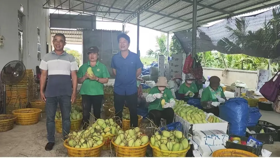保亭支行:扎根本土 踐行金融為民的初心 保亭支行:扎根本土 踐行金融為民的初心