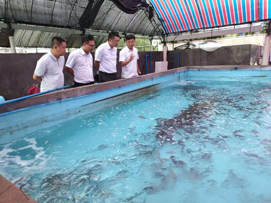 海南農(nóng)商銀行萬寧支行：金融賦能 助推鄉(xiāng)村全面振興