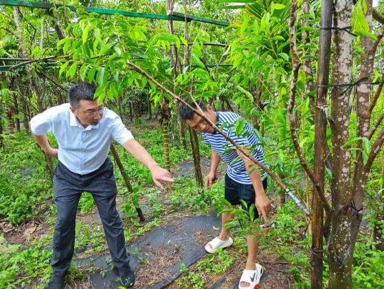 海南農(nóng)商銀行萬寧支行：金融賦能 助推鄉(xiāng)村全面振興