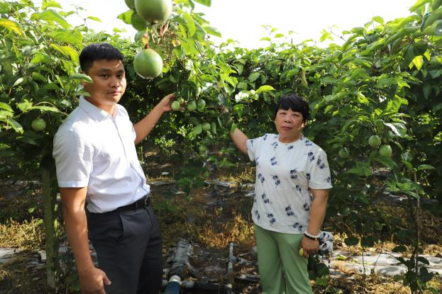 萬寧支行：黨建引領(lǐng) 繪就金融為民新畫卷