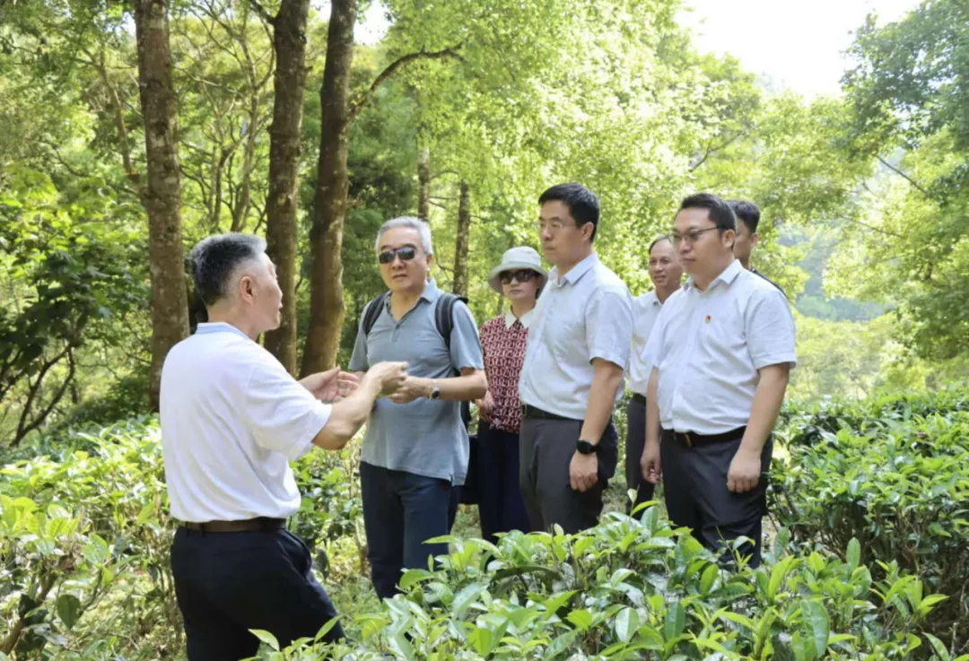 海南農(nóng)商銀行獨立董事赴五指山、樂東支行調(diào)研