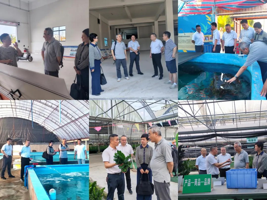 海南農(nóng)商銀行獨立董事赴五指山、樂東支行調(diào)研