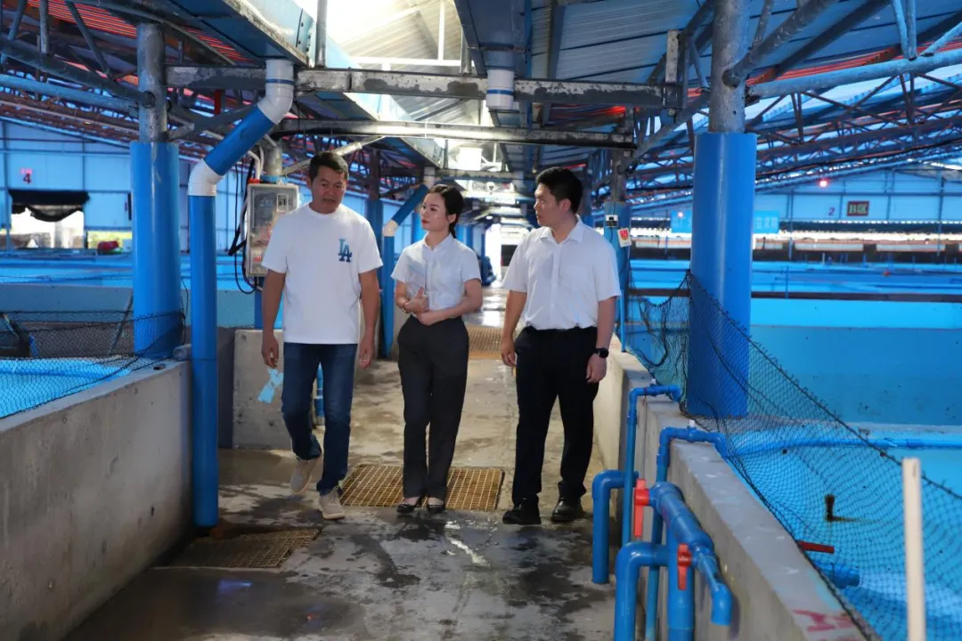 萬寧支行：一載耕耘譜新篇，與“寧”攜手向未來