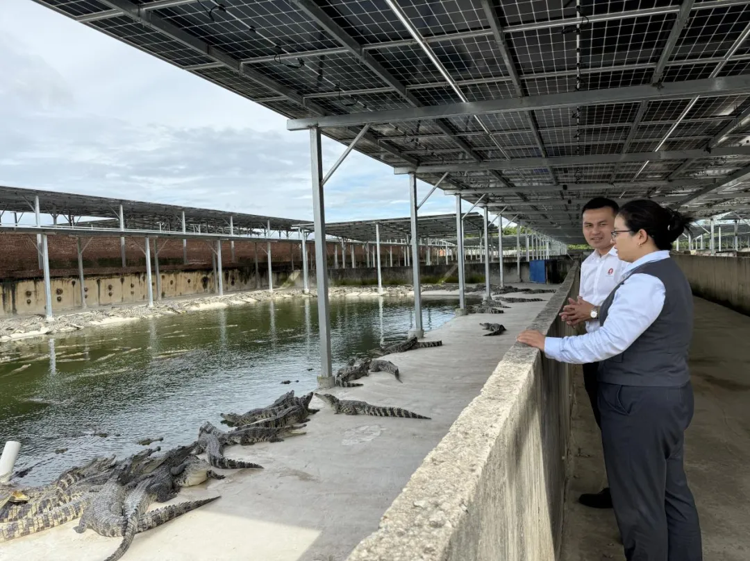 東方支行：金融活水潤沃土 創(chuàng)新服務(wù)強三農(nóng)