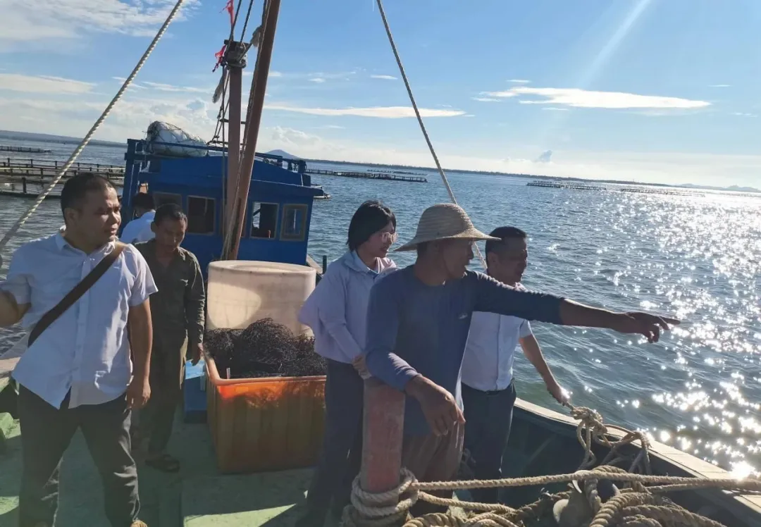 臨高支行：砥礪奮進(jìn)謀發(fā)展 金融活水潤臨高