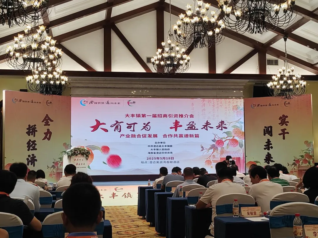 澄邁支行參加大豐鎮(zhèn)“大有可為，豐盈未來”招商引資推介